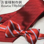 画像5: kit bowtie/ストライプ (5)