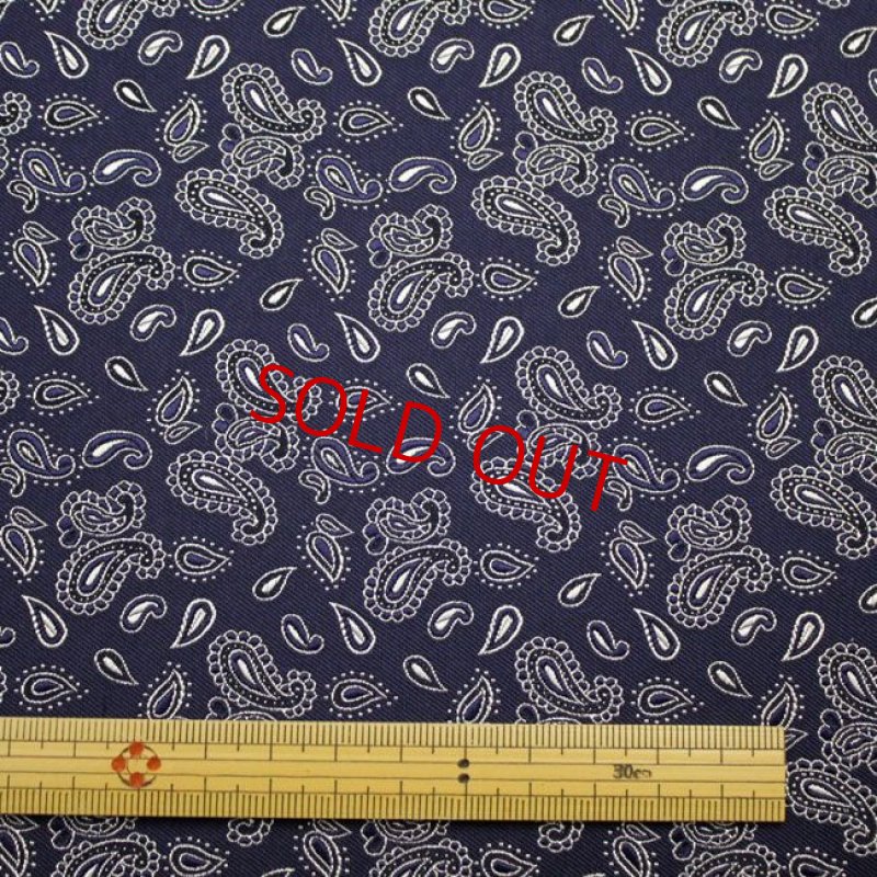 画像5: ペーズリー０３ (5)