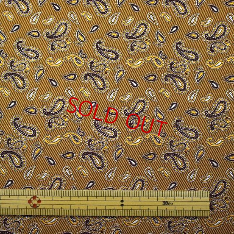 画像4: ペーズリー０３/パンプキン (4)