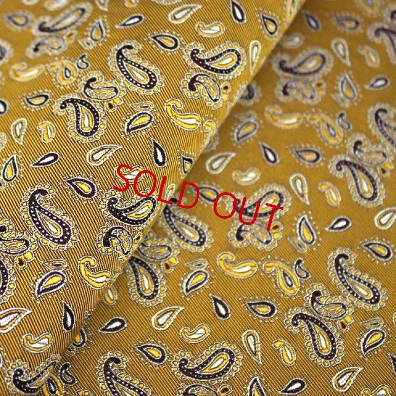 画像3: ペーズリー０３/パンプキン (3)