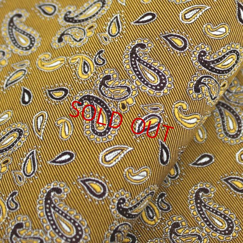 画像2: ペーズリー０３/パンプキン (2)