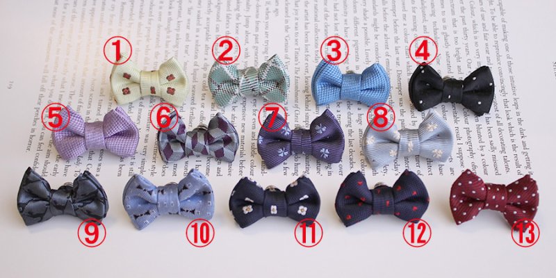 画像2: 蝶ネクタイのタックピン・ブートニエール（送料無料） (2)